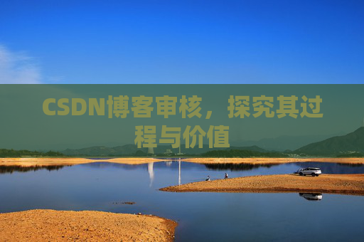 CSDN博客审核,探究其过程与价值